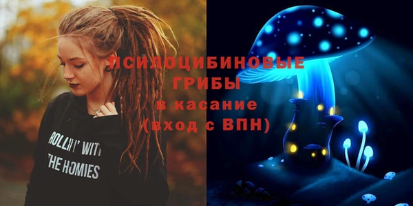 винт Арсеньев