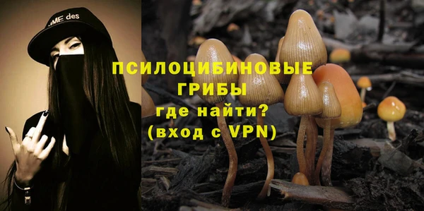винт Арсеньев