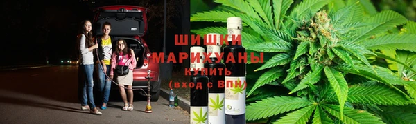 ешки Аркадак