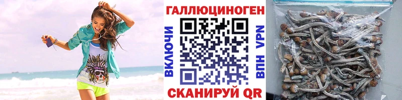 Псилоцибиновые грибы прущие грибы  Лесосибирск 