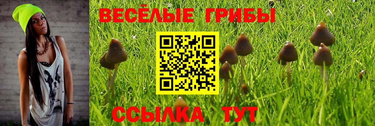 Галлюциногенные грибы Psilocybine cubensis  Галлюциногенные грибы ЛСД  наркошоп  Лесосибирск  Вход с VPN 